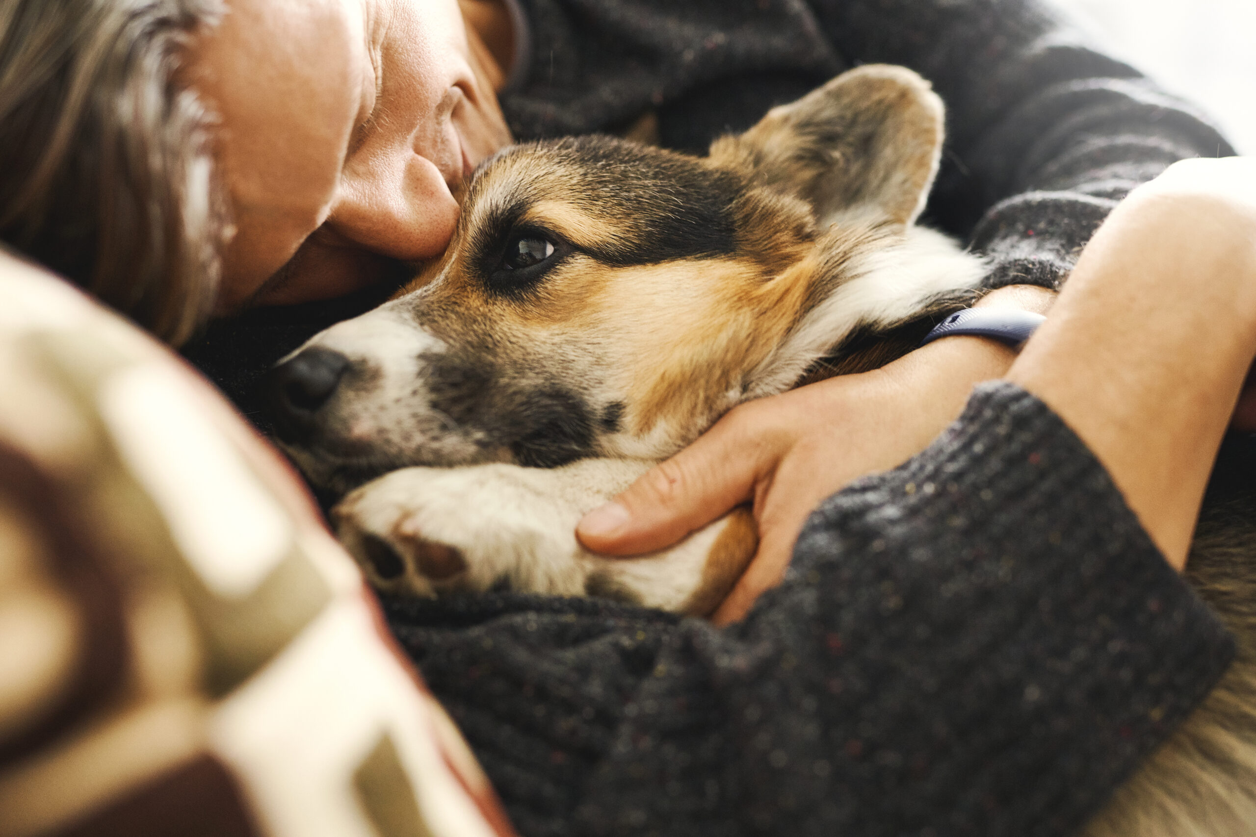 Portrait of young man embracing his pet. Cute Welsh Corgi puppy resting with owner, spending time together at home. Concept friendship with dog and human, cute moments, relaxing, carefree.